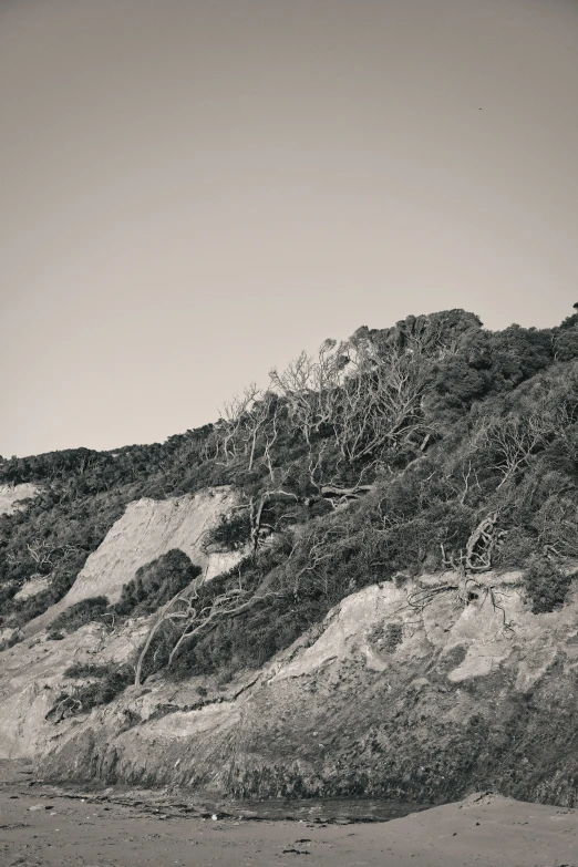 a person on a surfboard is near the sand