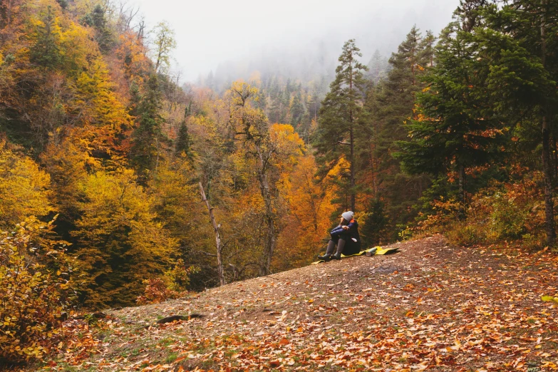 two people sitting on top of a hill in a fall colored forest