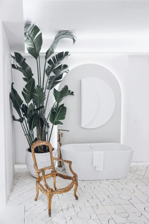 a white bath room with a large plant in it