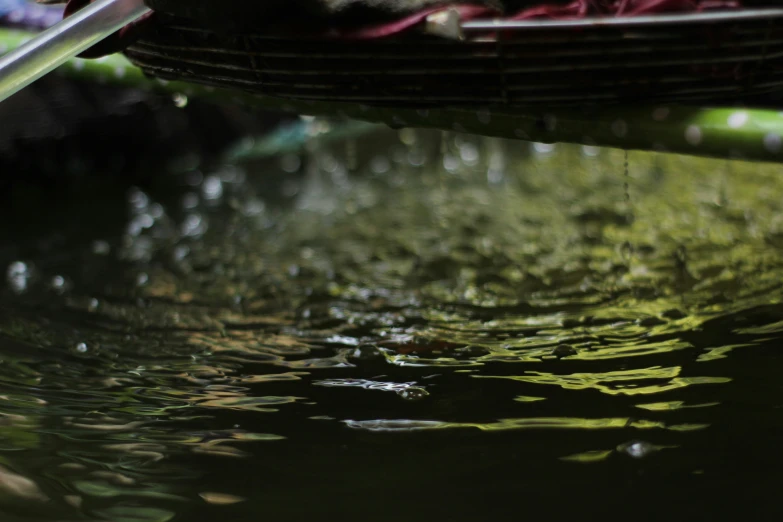 water with leaves coming from a basket on top