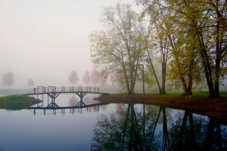 bridge over water and green grass with fog surrounding