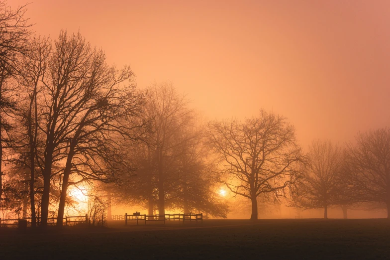 a foggy night in an open field with the sun setting