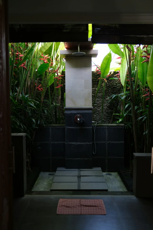 the shower is surrounded by lush vegetation and plants