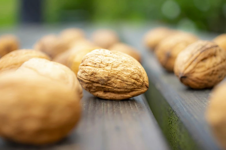 walnuts sit on the table in a line