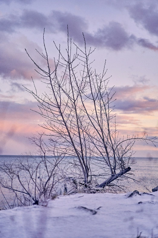 the sun is setting over the beach in winter