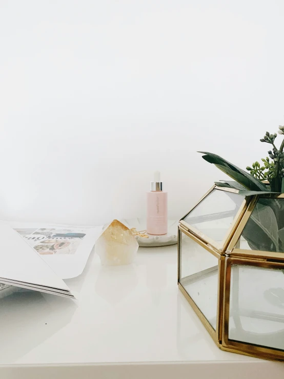 some plants in a vase on a table