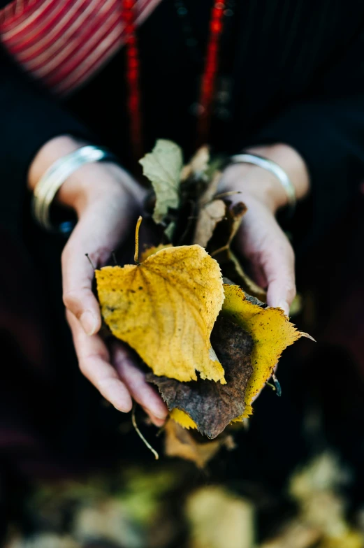 someone holding a yellow leaf in their hands