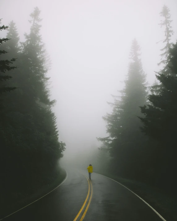 a person riding down the road in a misty forest