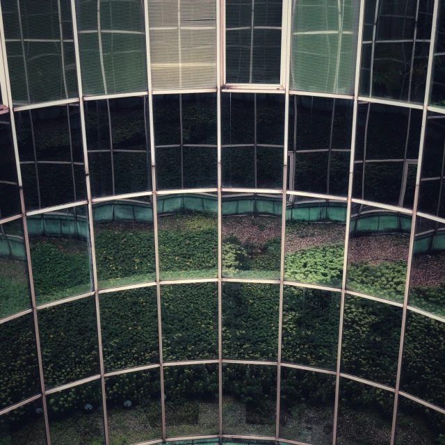 a view looking up into a glass building with vertical rows of green plants on the roof