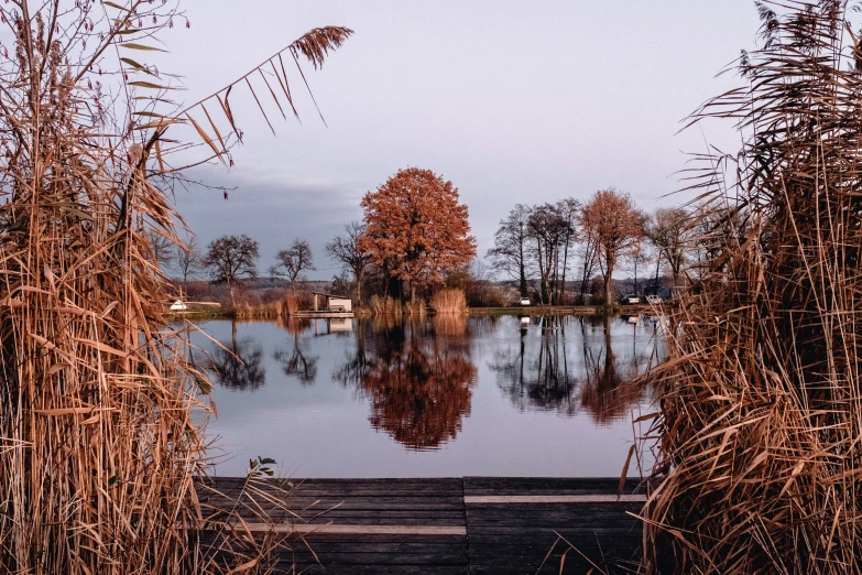 the view of an area with a lake