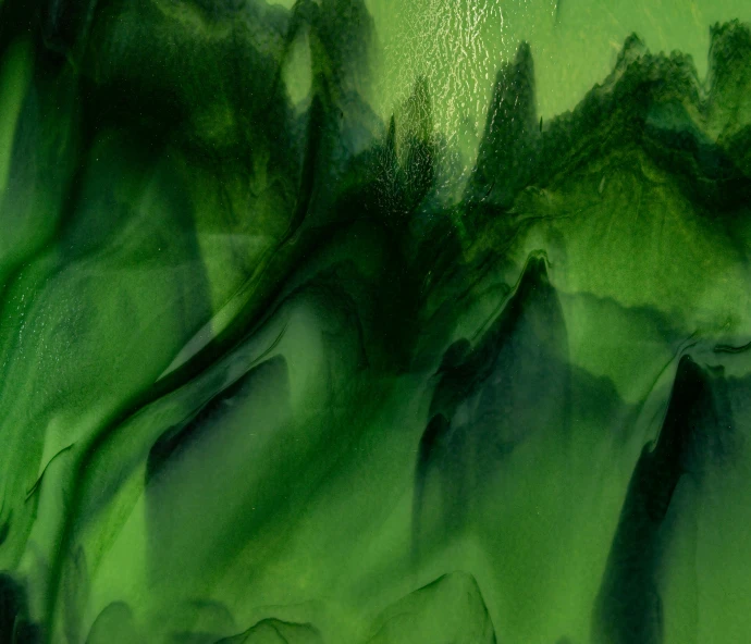 close up po of green fabric with tree tops