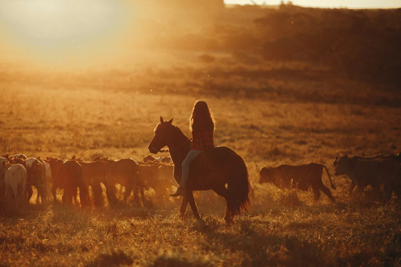 a woman riding a horse near a herd of horses