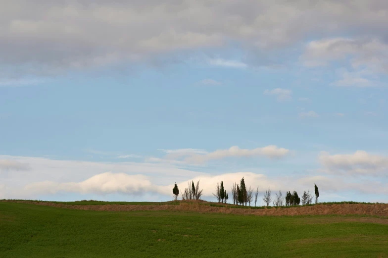 a green field with trees and sky in background