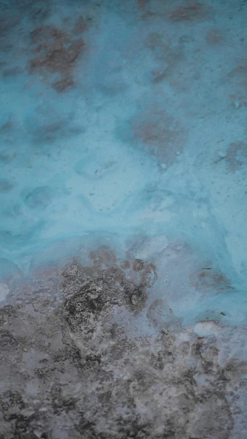 a piece of blue is surrounded by ice