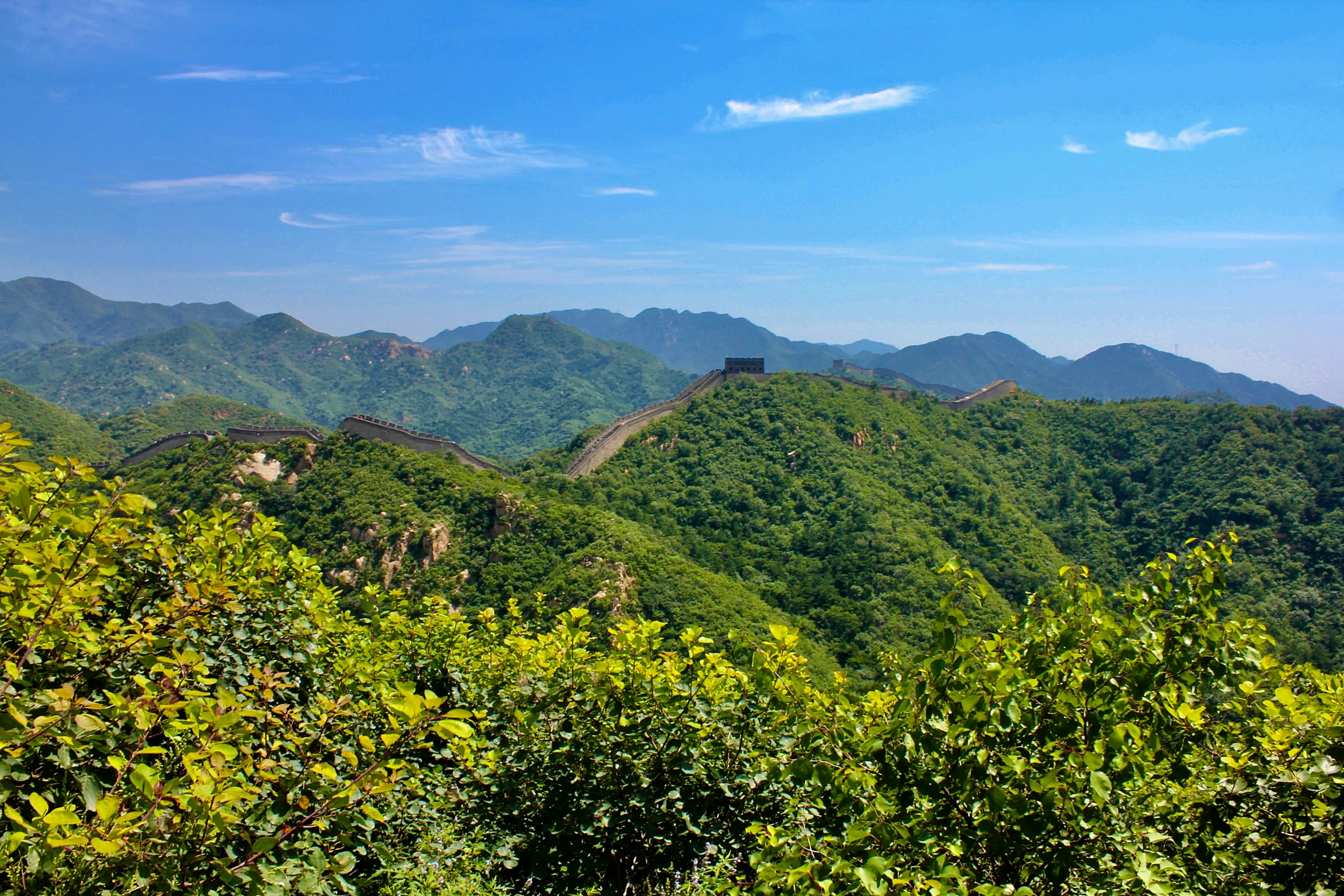 green hills and greenery near one another