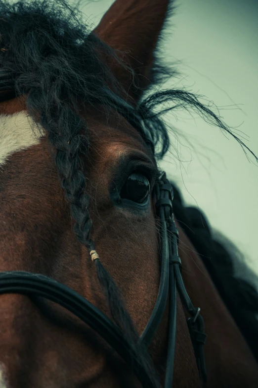 the horse's mane is curled and ided up