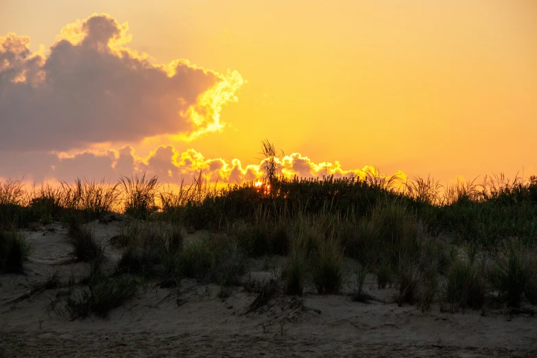 a picture taken from the beach looking at the sun in the clouds