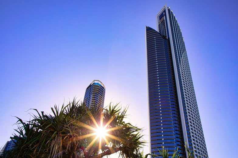 the sun is shining through the trees in front of the tall building