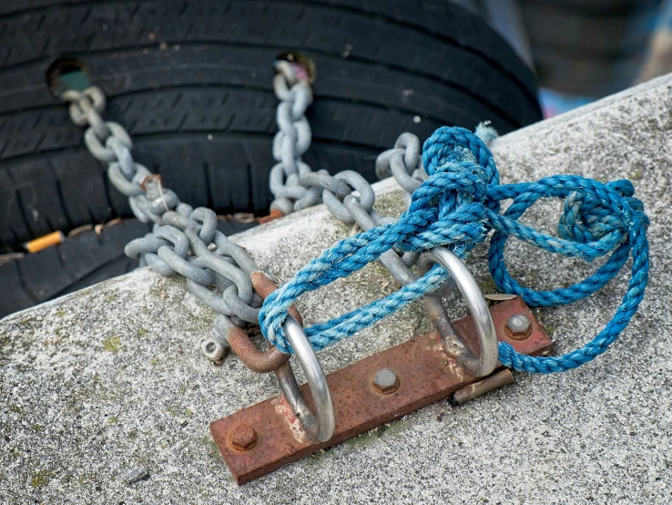 there is a small blue leash next to a tire