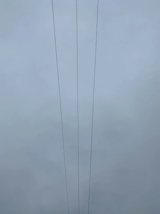 a man and his dog are walking through the field while flying kites