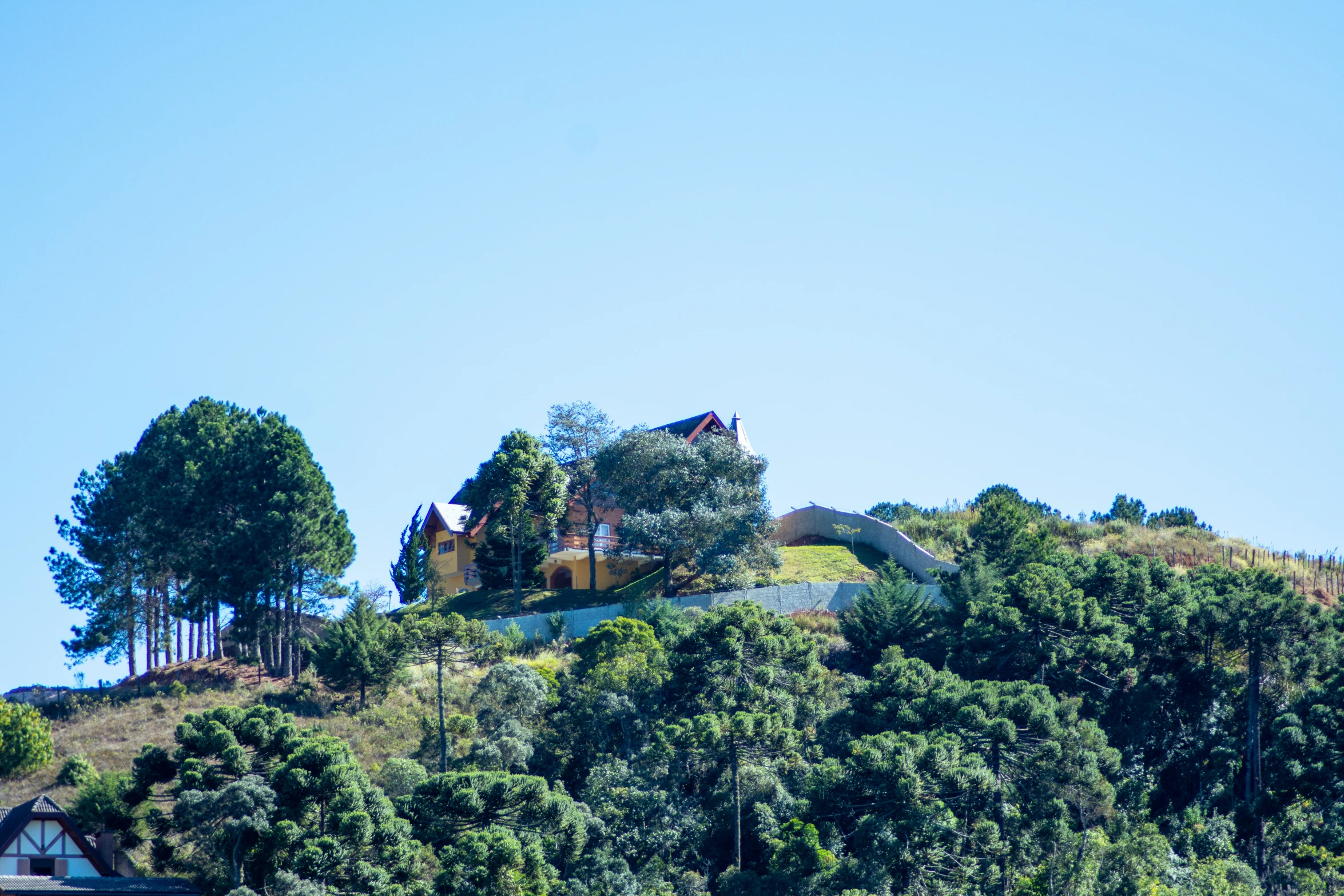 a house in the middle of a forest with a hill in the background