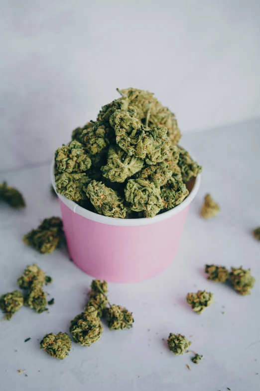 a pink cup filled with green marijuana buds