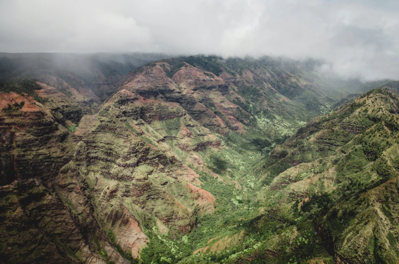 a scenic view of a mountain with trees growing in the land