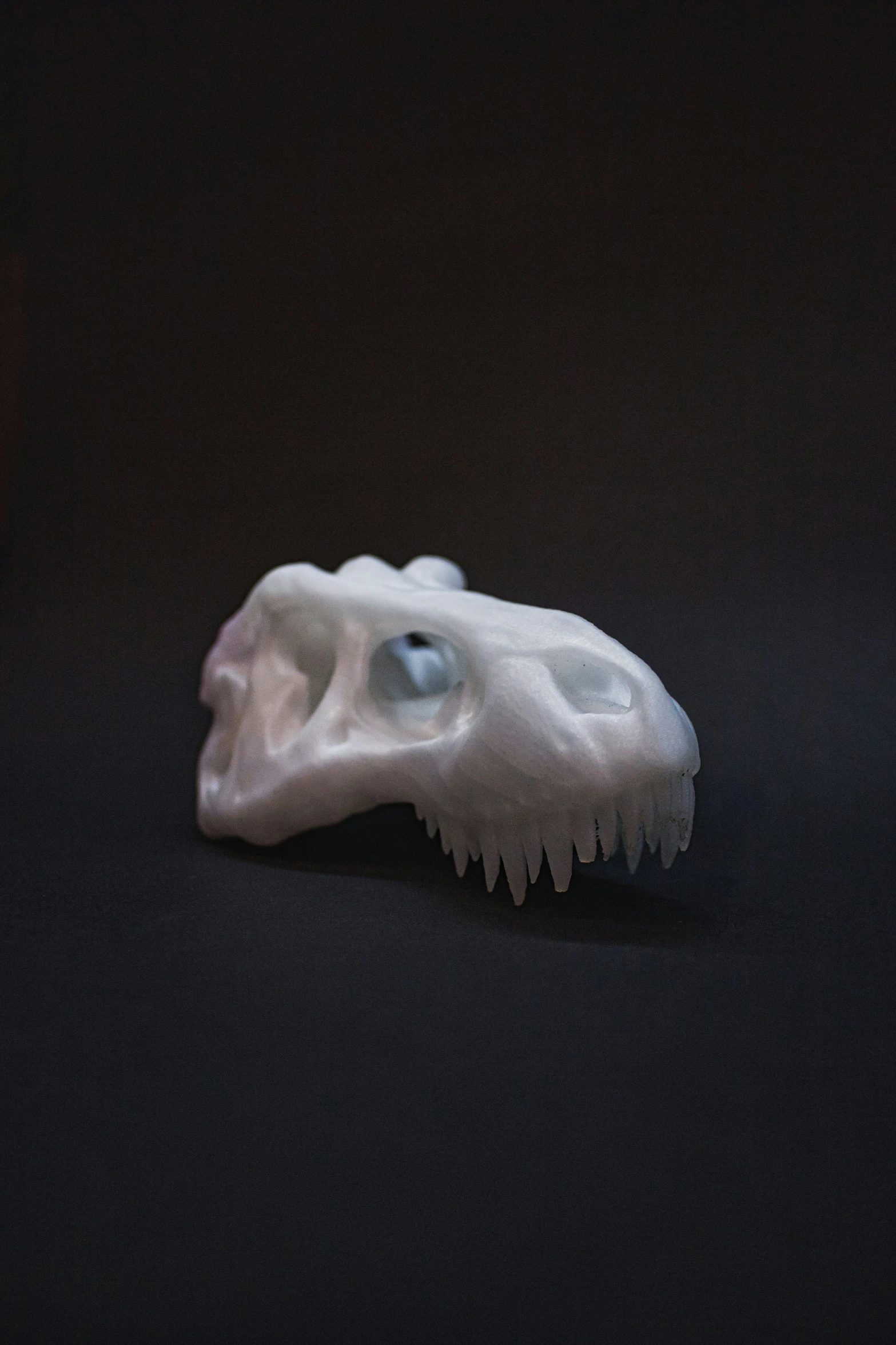 a black and white skull sitting in a dark room