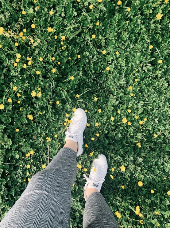 two feet standing on the ground in front of some yellow flowers
