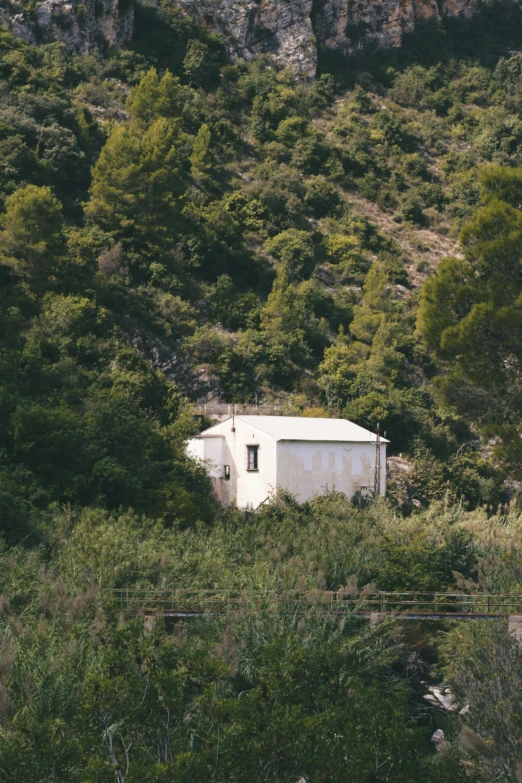 a house in a green area with a mountain in the background