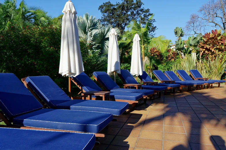 many chairs lined up against one another and empty chairs