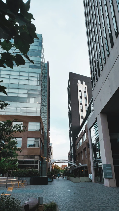 several buildings stand on either side of each other