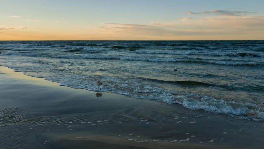 a person standing on top of the beach next to the ocean