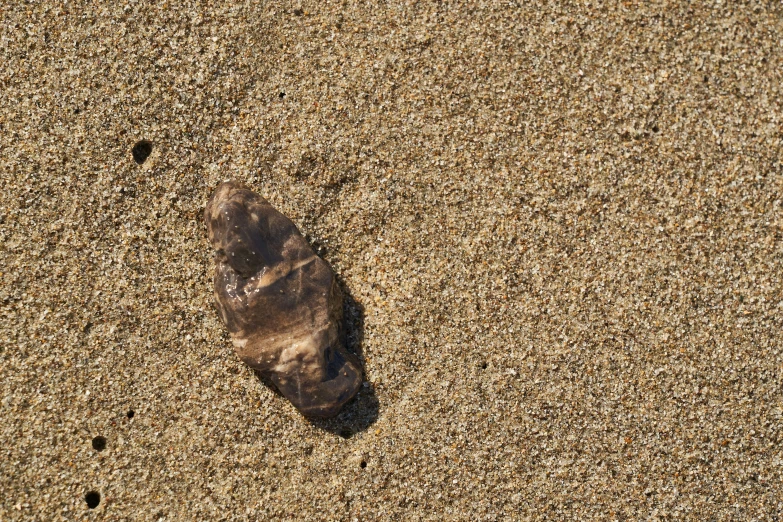 the small sand area has footprints and a shoe