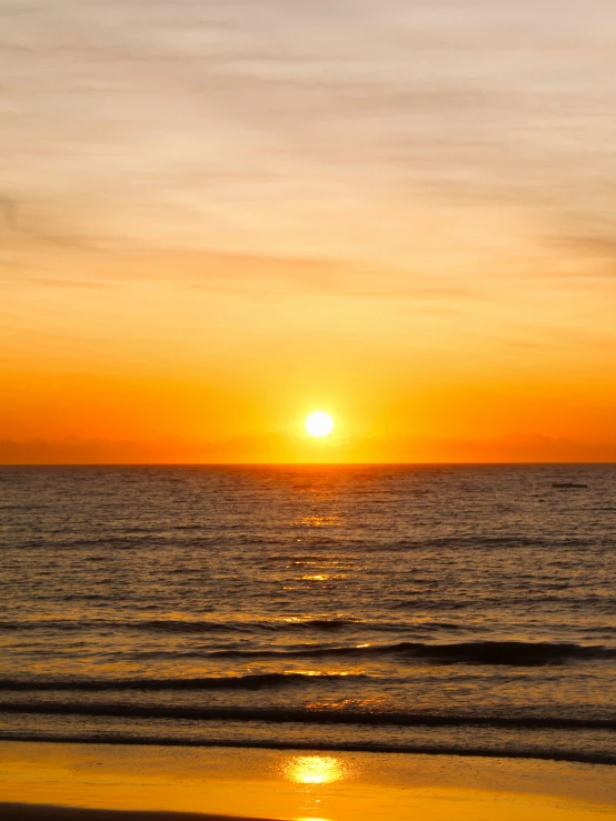 a bird is flying by the ocean at sunset