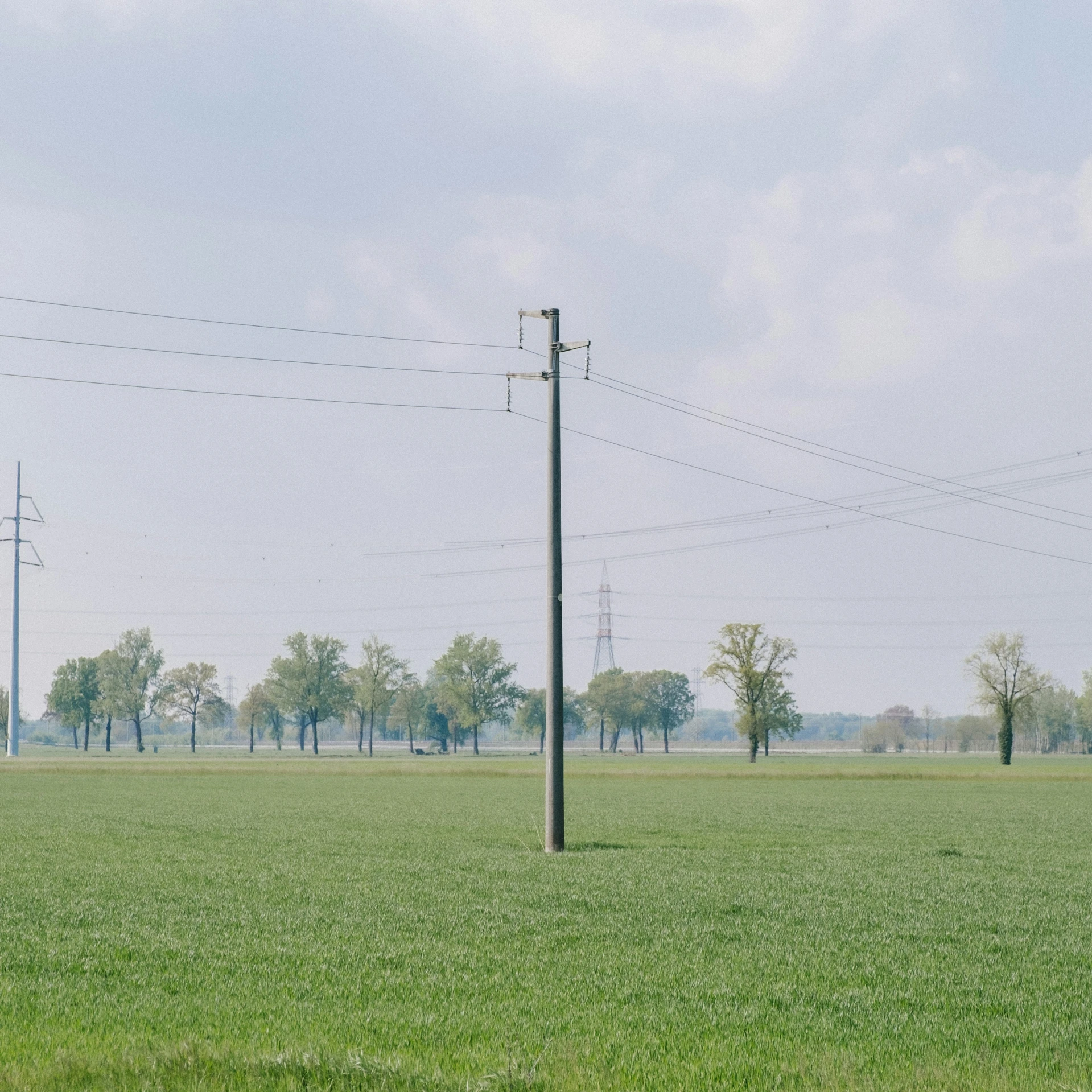 an empty field of grass with power lines and telephone poles
