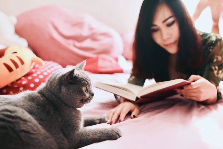 a cat looks at an open book while it rests on a bed