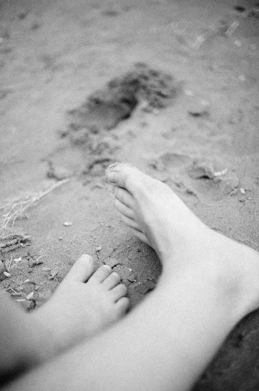 feet and footprints from an animal on the beach