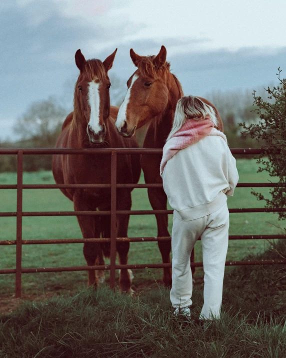 two horses in the grass behind a fence