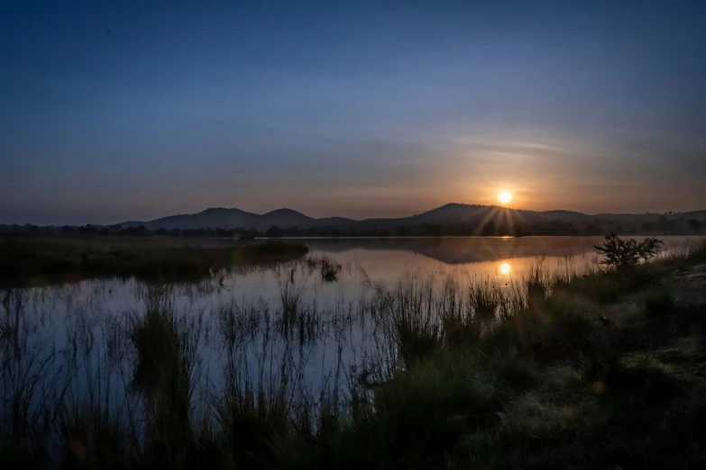 a lake with a few tall grass near a mountain