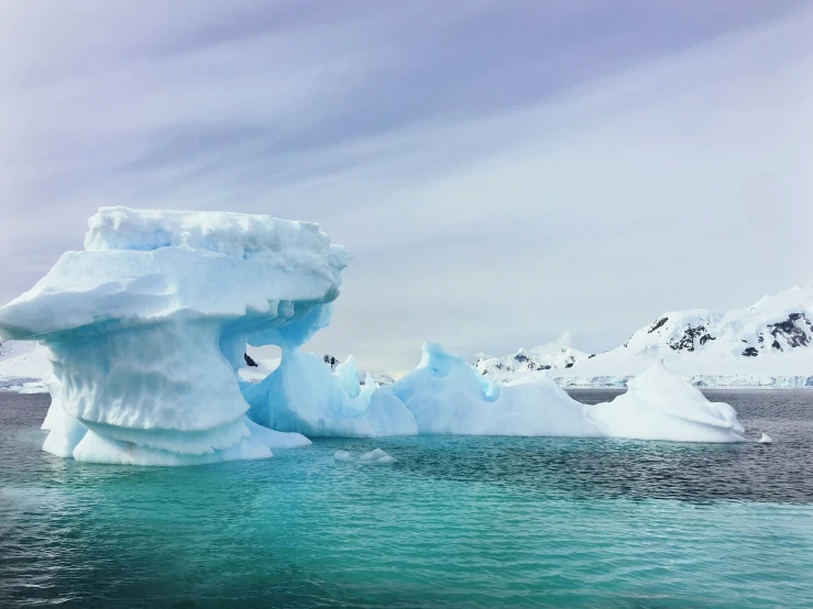 the large icebergs float through a body of water