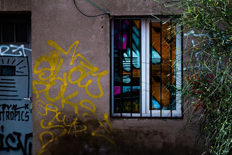 a close up of the window and a building with graffiti