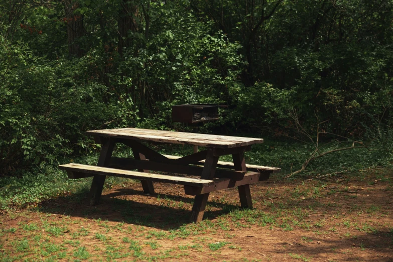 a picnic table near a grassy area with trees in the background