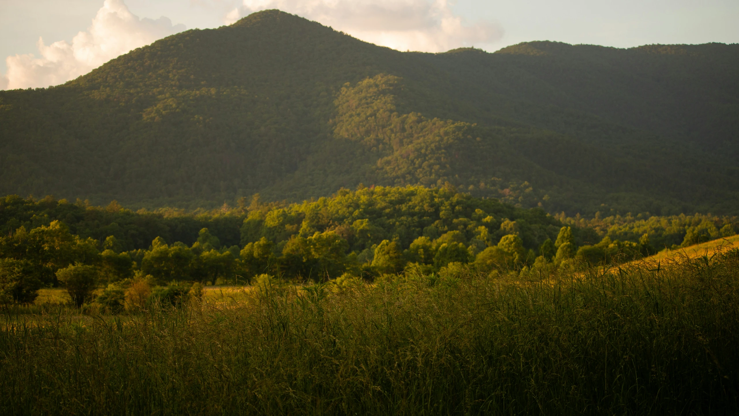 a green meadow with tall mountains in the background