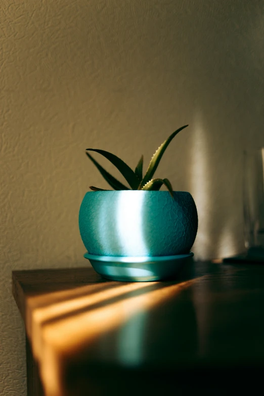 a blue bowl on a table holding a plant