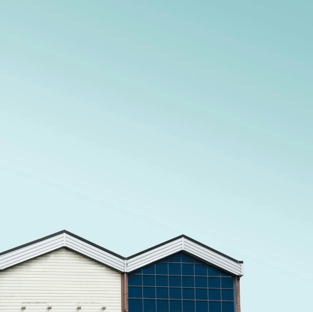 a black and white bird standing on the roof of an airport