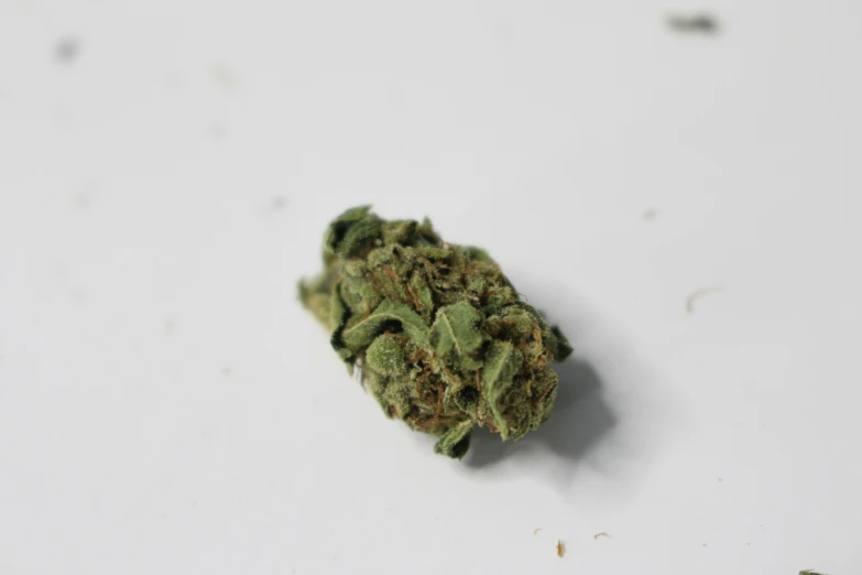 a marijuana leaf that is green on a white background