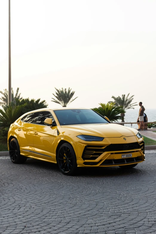 the front view of a yellow lamb suv