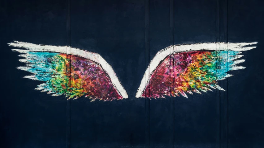 the wings are painted with bright colors on the side of a building