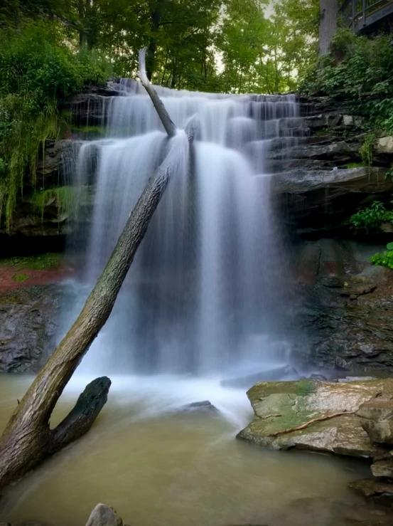 waterfall with a fallen tree nch sticking out